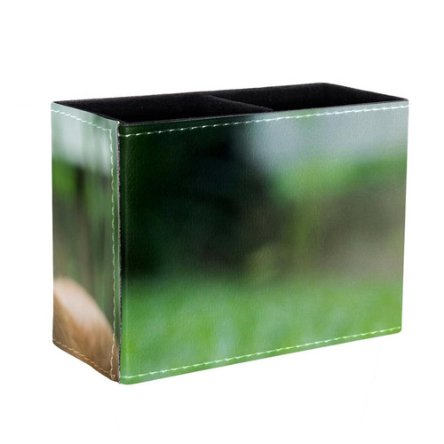 Lyetny Desktop Pen & Pencil Storage Cups Corgi Dog Pattern Pen Organizer Makeup Brush Holders Pencil Cup for Office College Home