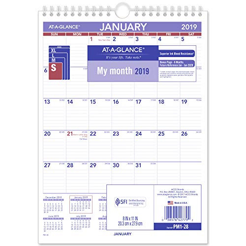 AT-A-GLANCE 2019 Monthly Wall Calendar, 8" x 11", Small, Wirebound (PM128)