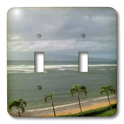 3dRose lsp_29339_2 Palm Trees Along Maui Coast Of Hawaii Travel Double Toggle Switch