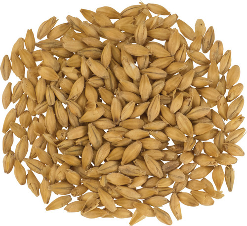 Malt - Gambrinus Malting Pale Ale - 5 lb (Pack of 6)