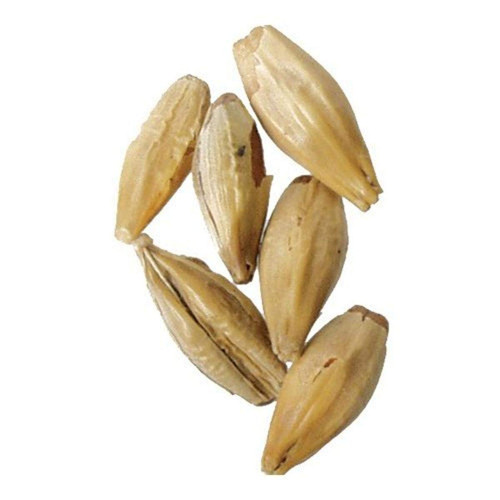 Malt - Belgian Biscuit - 1 lb Milled (Pack of 5)