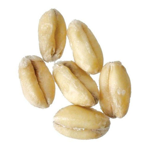 Malt - German Munich - 1 lb (Pack of 10)