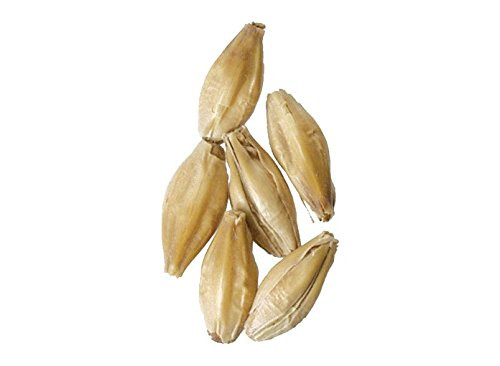 Malt - Dark Munich - 1 lb Milled (Pack of 10)