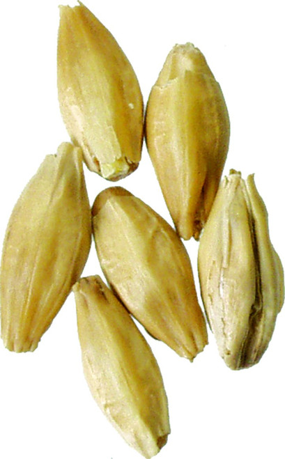 Malt - Rauch - 1 lb Milled (Pack of 5)