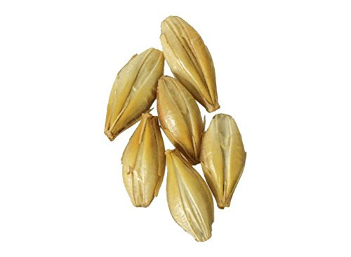 Malt - Caramel 40L - 1 lb (Pack of 10)