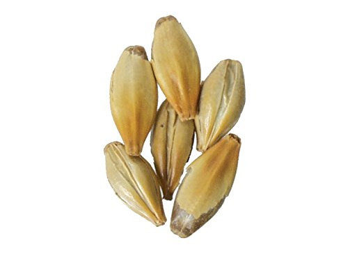 Malt - Caramel 120L - 1 lb (Pack of 10)
