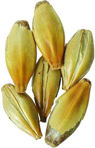 Malt - Caramel 120L - 1 lb Milled (Pack of 10)
