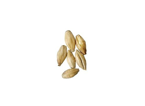 Malt - Floor Malted Bohemian Pilsner - 1 lb Milled (Pack of 10)