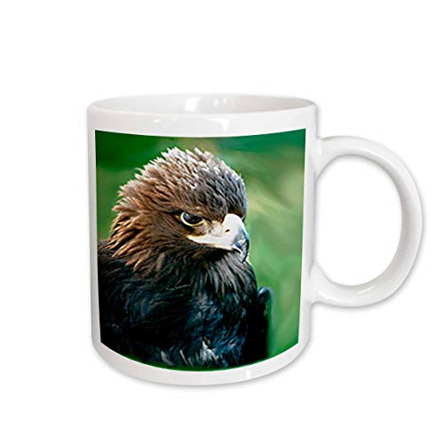 3dRose Golden Eagle Ceramic Mug, 15-Ounce