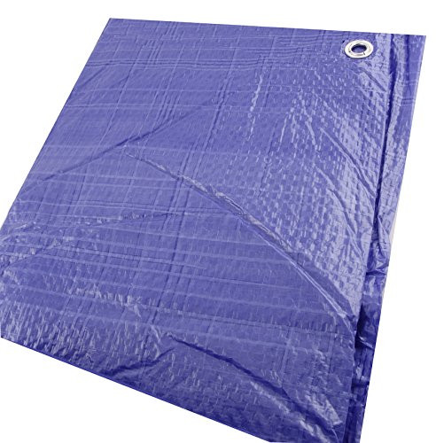 Erickson 57001 Blue Economy Poly Tarp, 8' x 10'