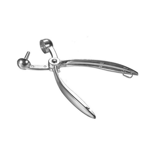 Cherry Pitter Tool Cherries Corer Pitter Tool, Stainless Steel Fruit Pit Remover for Cherry Jam, Portable Cherry Pitter Tool
