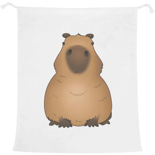 Azeeda 'Grumpy Capybara' Laundry/Washing/Storage Bag (LB00024135)