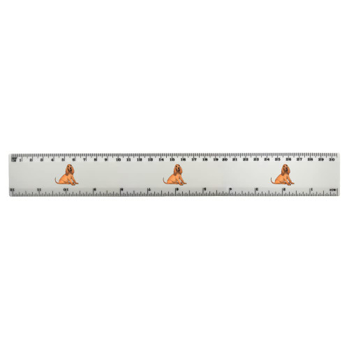 Azeeda 'Bloodhound Puppy' 30cm (12 Inch) White Plastic Ruler (RL00069724)