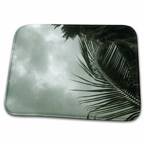 3dRose Green palm trees and gray cloudy sky - Dish Drying Mats (ddm-157882-1)