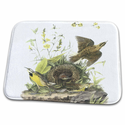3dRose PS Vintage - Vintage Birds with Nest - Dish Drying Mats (ddm-179013-1)