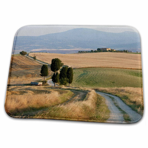3dRose Danita Delimont - Italy - Winding road, Tuscany, Italy - Dish Drying Mats (ddm-227668-1)