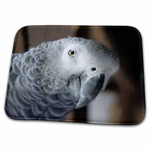 3dRose Funny Macaw Bird African Grey Parrot - Dish Drying Mats (ddm-294226-1) 3dRose Funny Macaw Bird African Grey Parrot - Dish Drying Mats (ddm-294226-1)