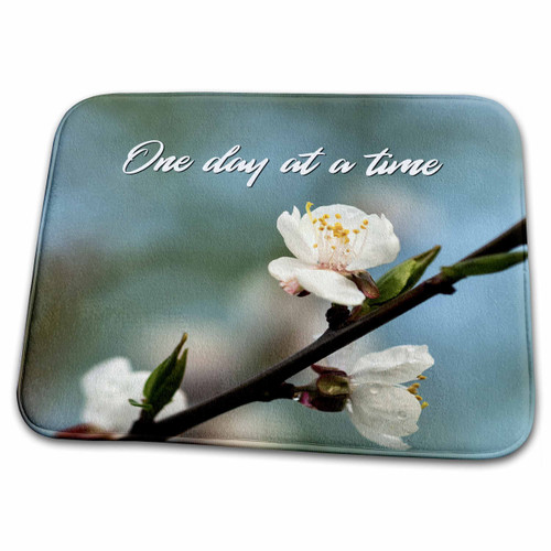 3dRose Beautiful Japanese apricot flower blossom. Text One day at... - Dish Drying Mats (ddm-302353-1)