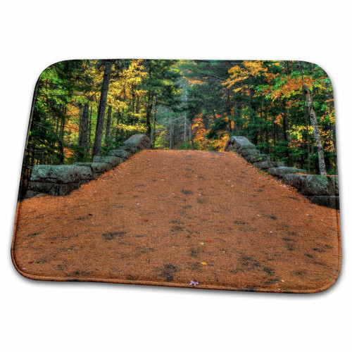 3dRose Trail through the Forest - Dish Drying Mats (ddm-317148-1)