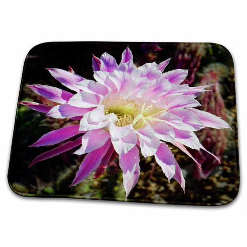 3dRose Decorative colorful garden SW Southwest Desert cactus... - Dish Drying Mats (ddm-32408-1)