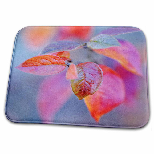 3dRose Red cotoneaster leaves, grey background. Beauty of the... - Dish Drying Mats (ddm-328748-1)