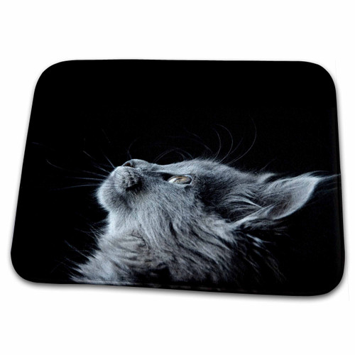 3dRose Cassie Peters Cats - Beautiful Grey Cat Looking Up - Dish Drying Mats (ddm-334852-1)