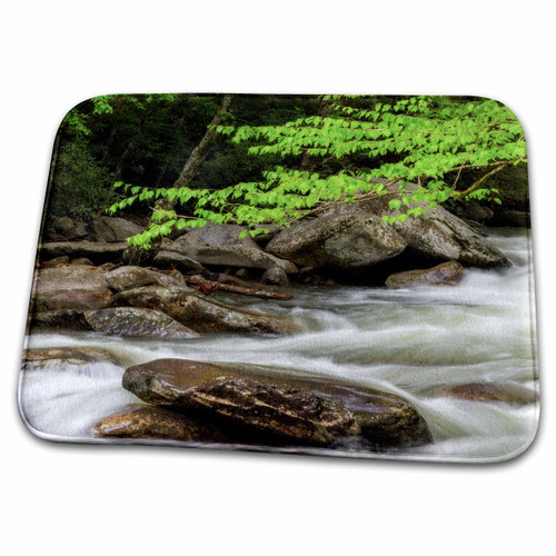 3dRose Green tree limbs over the river - Dish Drying Mats (ddm-338897-1) 3dRose Green tree limbs over the river - Dish Drying Mats (ddm-338897-1)