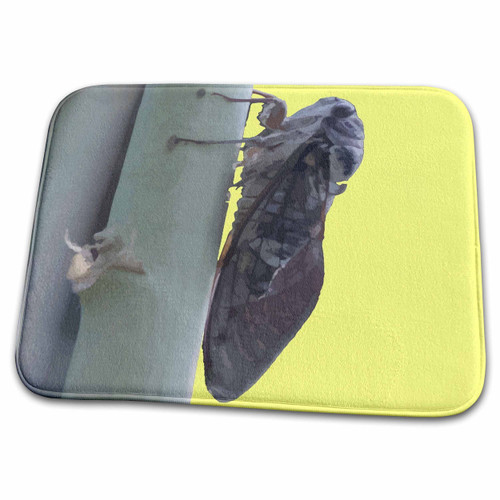 3dRose Taiche - Vector Art - Cicada - Cicada Vector - Dish Drying Mats (ddm-357156-1)