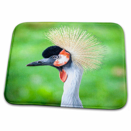 3dRose Danita Delimont - Birds - Grey crowned crane. - Dish Drying Mats (ddm-366238-1)