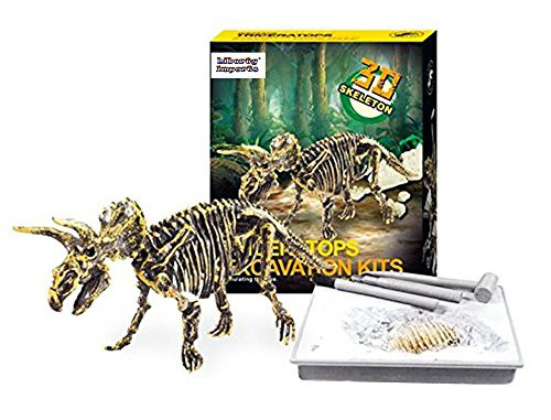 Dinosaur Skeleton 3D Dino Fossil Bones Excavation Science Kit - Triceratops