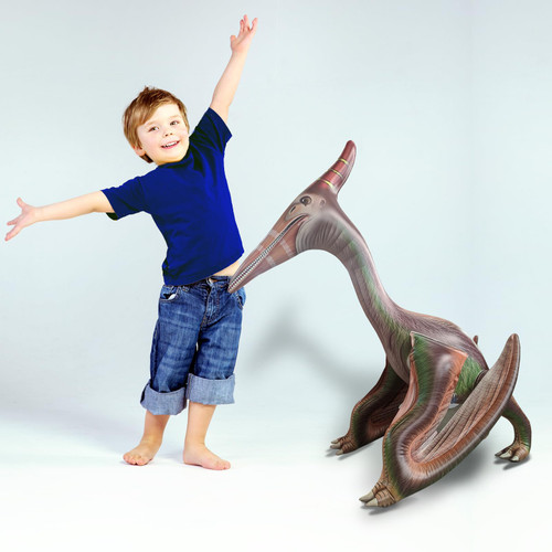 HOHQB Pterosaurio Inflatable Dinosaur Party Decorations, Jumbo Dinosaur Birthday Party Supplies, Giant Dinosaur balloon Dinosaur Party Favors for Kids age 3-5-8-12 HOHQB Pterosaurio Inflatable Dinosaur Party Decorations, Jumbo Dinosaur Birthday Party Supplies, Giant Dinosaur balloon Dinosaur Party Favors for Kids age 3-5-8-12