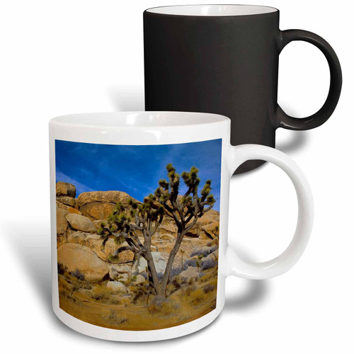 3dRose USA, California, Joshua Tree National Park, Jumbo Rocks - Mugs (mug_189885_3) 3dRose USA, California, Joshua Tree National Park, Jumbo Rocks - Mugs (mug_189885_3)