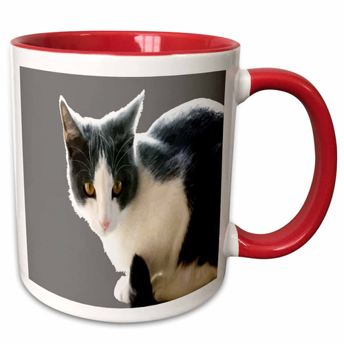 3dRose Taiche - Vector Art - Tuxedo Cat - Grey And White Tuxedo Cat Vector Art - Mugs (mug_356292_5)