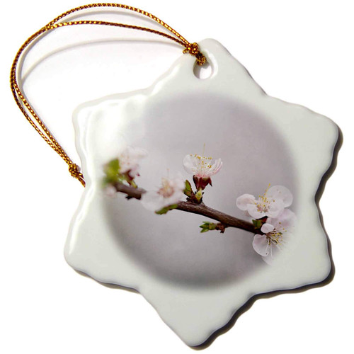 3dRose Pink Sakura Flowers, Grey Background - Ornaments (orn-265552-1) 3dRose Pink Sakura Flowers, Grey Background - Ornaments (orn-265552-1)