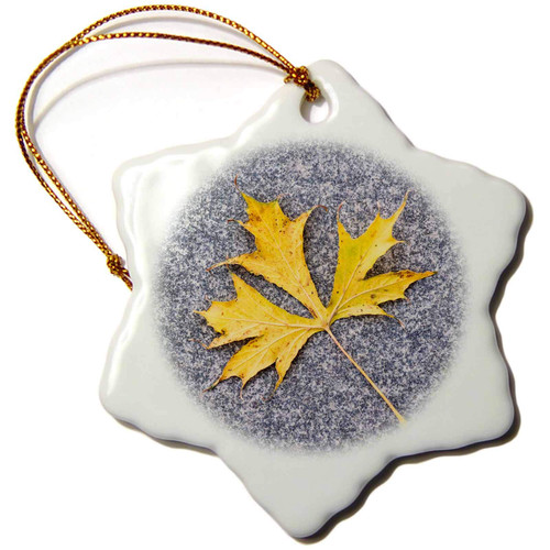 3dRose Single Yellow Maple Leaf, Grey Granite Stone Background - Ornaments (orn-267349-1) 3dRose Single Yellow Maple Leaf, Grey Granite Stone Background - Ornaments (orn-267349-1)