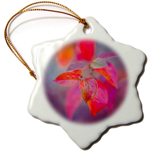 3dRose Leather-Like cotoneaster Leaves, Purple and Grey Background - Ornaments (orn-270498-1)
