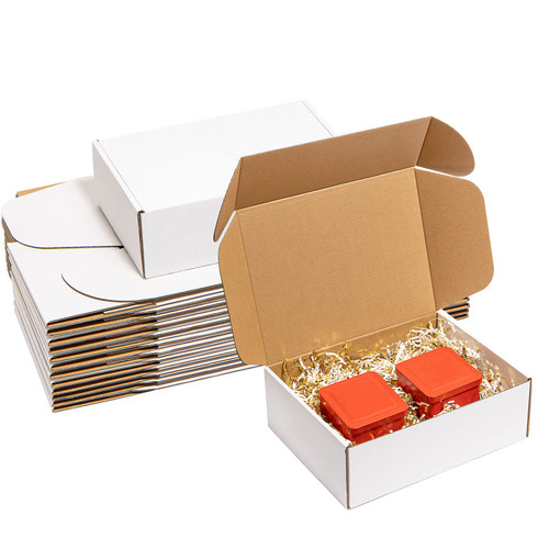 Wowxyz Shipping Boxes 12x9x4 Inches 20 Pack Corrugated Cardboard Mailing Boxes for Small Business, Literature Mailer Medium White Box Packaging Supplies