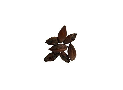 Malt - Briess - Roasted Barley - 1 lb Bag, Milled (Pack of 10)