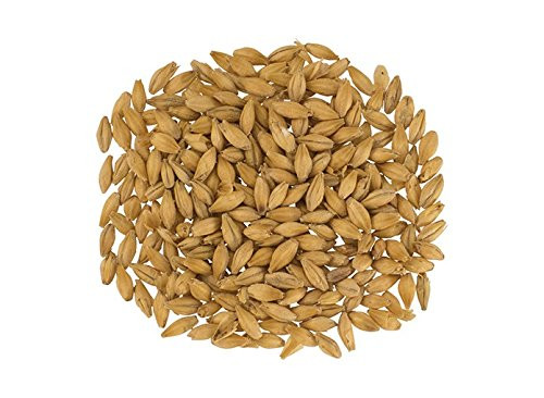 Malt - Gambrinus Malting Pale Ale - 1 LB (Pack of 10)
