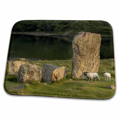 3dRose Sheep, Uragh Stone Circle, Glengarriff, Ireland -... - Bathroom Bath Rug Mats (rug-137483-1)