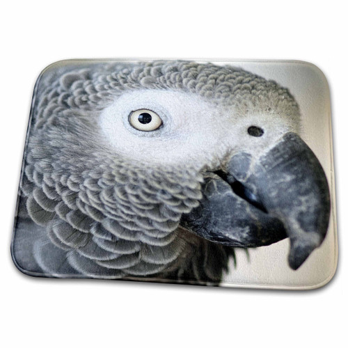 3dRose African Grey Parrot Tropical Bird - NA02 MFR0001 -... - Bathroom Bath Rug Mats (rug-140254-1) 3dRose African Grey Parrot Tropical Bird - NA02 MFR0001 -... - Bathroom Bath Rug Mats (rug-140254-1)