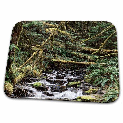 3dRose Rainforest Stream, Olympics, Washington, USA - US48... - Bathroom Bath Rug Mats (rug-148448-1) 3dRose Rainforest Stream, Olympics, Washington, USA - US48... - Bathroom Bath Rug Mats (rug-148448-1)