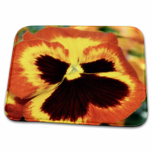 3dRose Dancing on Air a Beautiful Bright Colored Pansy... - Bathroom Bath Rug Mats (rug-181131-1)