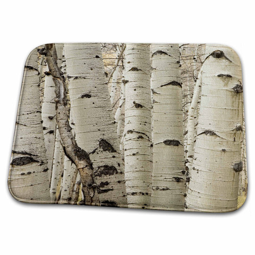 3dRose USA, Colorado. Aspens in Gunnison National Forest. - Bathroom Bath Rug Mats (rug-189920-1) 3dRose USA, Colorado. Aspens in Gunnison National Forest. - Bathroom Bath Rug Mats (rug-189920-1)
