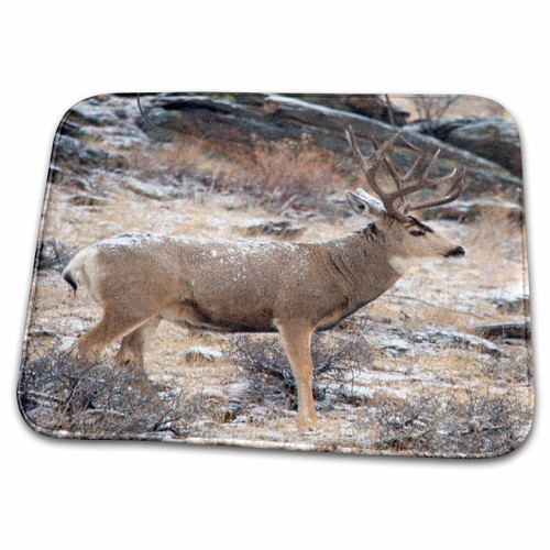 3dRose USA, Colorado, Mule Deer Buck in Estetes Park. - Bathroom Bath Rug Mats (rug-191535-1) 3dRose USA, Colorado, Mule Deer Buck in Estetes Park. - Bathroom Bath Rug Mats (rug-191535-1)