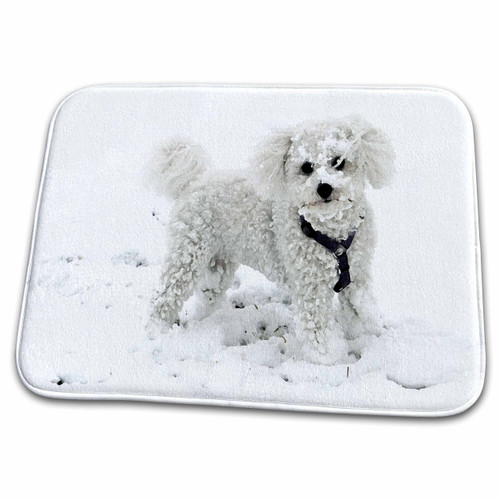 3dRose Florene - Dog Art - Print of White Poodle Painting - Bathroom Bath Rug Mats (rug-203767-1)
