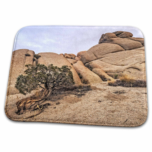 3dRose Juniper Tree at Jumbo Rocks - Bathroom Bath Rug Mats (rug-203941-1)