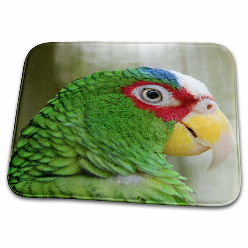 3dRose Belize, Belize City, Belize City Zoo. Captive White... - Bathroom Bath Rug Mats (rug-207002-1)