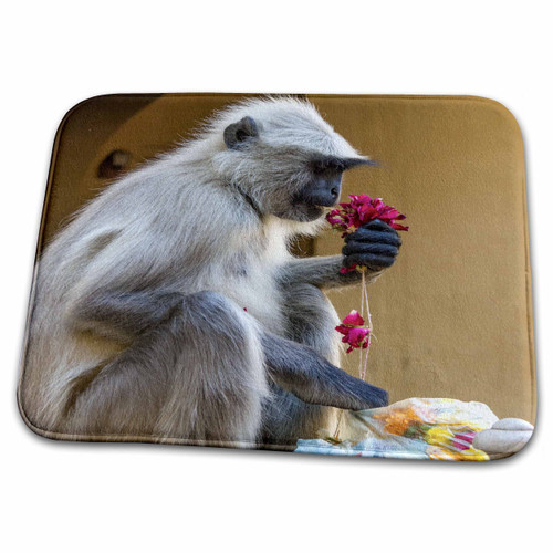 3dRose Monkey. Amber Fort. Jaipur. - Bathroom Bath Rug Mats (rug-225667-1)