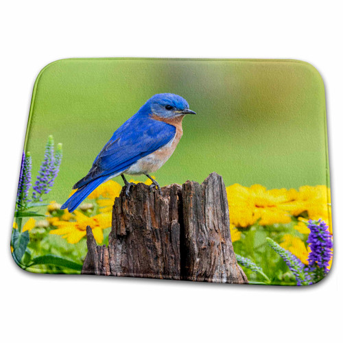 3dRose Eastern Bluebird Male on Fence Post Near Flower... - Bathroom Bath Rug Mats (rug-367146-1)